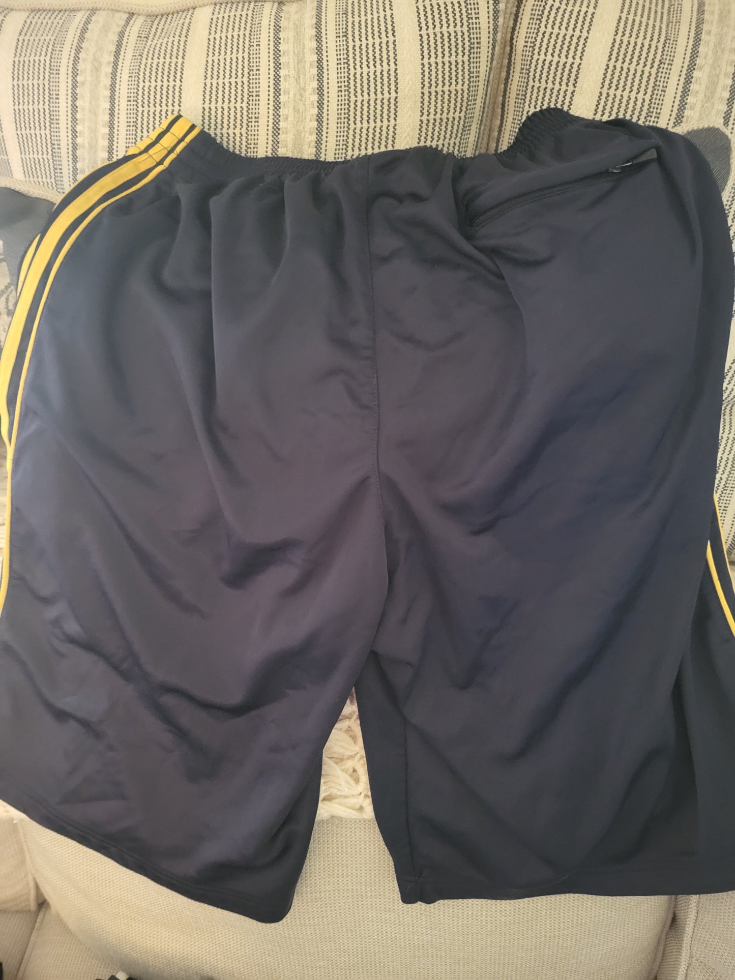 Michigan Wolverine Shorts - Nylon